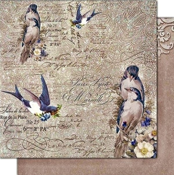 Χαρτί Scrapbooking 5001528 Stamperia Διπλής Όψης  - New England Birds - 31x30cm