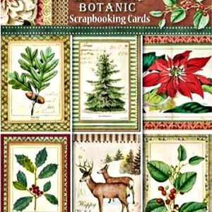 Σετ 24 Κάρτες 5002421 Scrapbooking Stamperia Διπλής Όψης  - Winter Botanic - 11.4x16.5cm